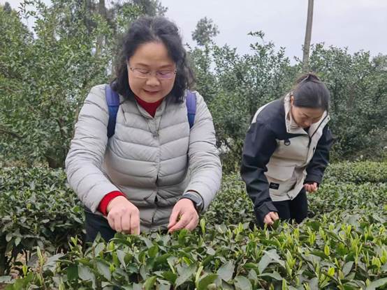 树林前的花园里有一些人  AI 生成的内容可能不正确。
