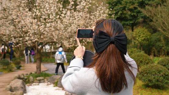 a01b5d37b7263b0c81b7852d9b358a7