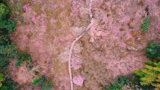 4b9a6bfc93ac1927eba11d38fcb54c2